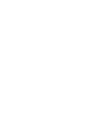 Feeder Security & Manpower Services